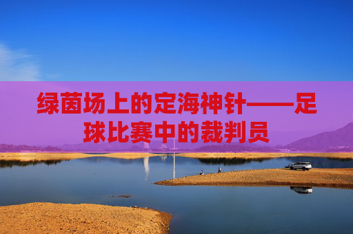绿茵场上的定海神针——足球比赛中的裁判员