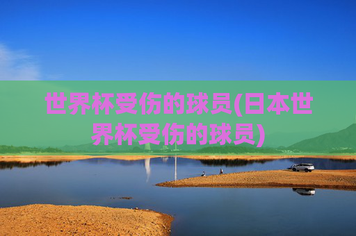 世界杯受伤的球员(日本世界杯受伤的球员)
