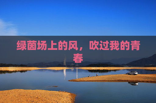 绿茵场上的风,吹过我的青春