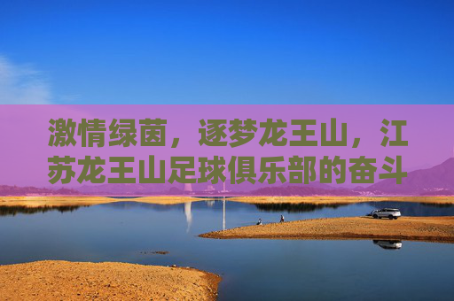 激情绿茵,逐梦龙王山,江苏龙王山足球俱乐部的奋斗与荣光