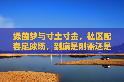 绿茵梦与寸土寸金,社区配套足球场,到底是刚需还是噱头?