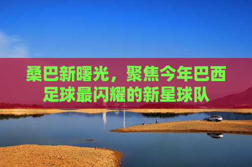 桑巴新曙光,聚焦今年巴西足球最闪耀的新星球队
