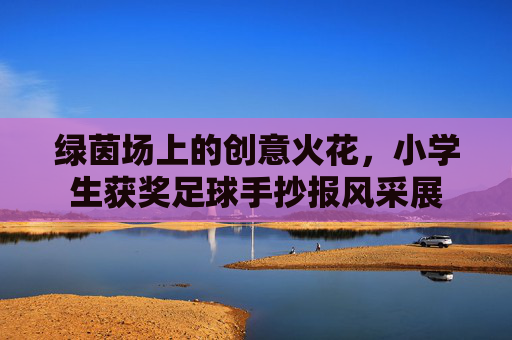 绿茵场上的创意火花,小学生获奖足球手抄报风采展