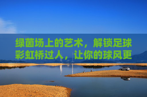 绿茵场上的艺术,解锁足球彩虹桥过人,让你的球风更具观赏性