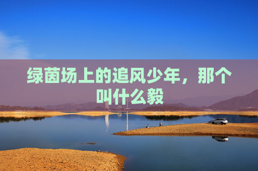 绿茵场上的追风少年,那个叫什么毅