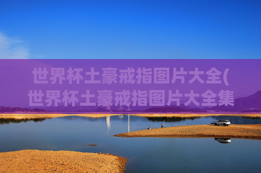 世界杯土豪戒指图片大全(世界杯土豪戒指图片大全集)