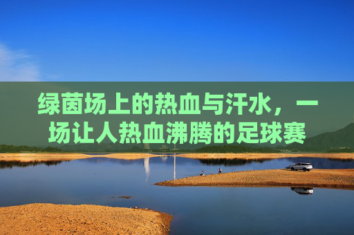 绿茵场上的热血与汗水,一场让人热血沸腾的足球赛