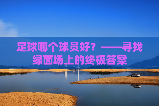 足球哪个球员好?——寻找绿茵场上的终极答案
