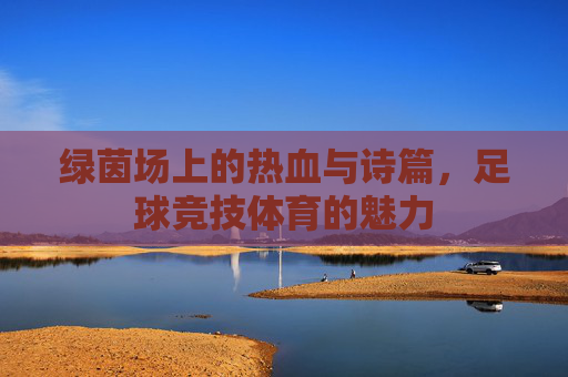 绿茵场上的热血与诗篇,足球竞技体育的魅力