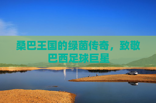 桑巴王国的绿茵传奇,致敬巴西足球巨星