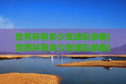 世界杯有多少支球队参赛(世界杯有多少支球队参赛)