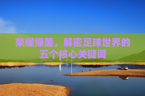 荣耀绿茵,解密足球世界的五个核心关键词