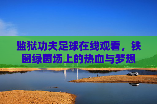 监狱功夫足球在线观看,铁窗绿茵场上的热血与梦想