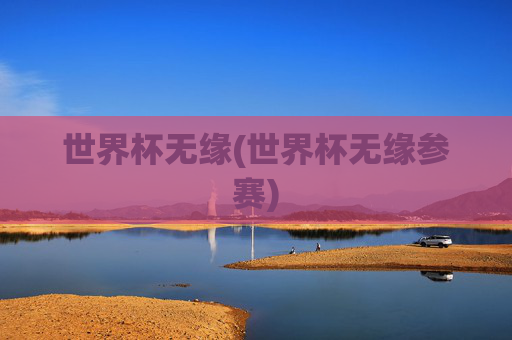 世界杯无缘(世界杯无缘参赛)