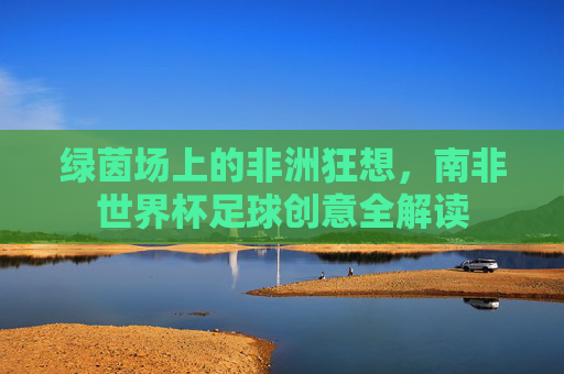 绿茵场上的非洲狂想,南非世界杯足球创意全解读