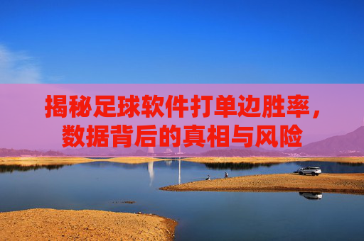 揭秘足球软件打单边胜率,数据背后的真相与风险