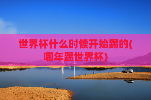 世界杯什么时候开始踢的(哪年踢世界杯)