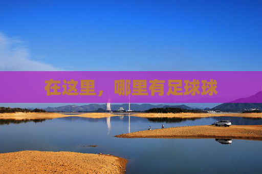 在这里,哪里有足球球
