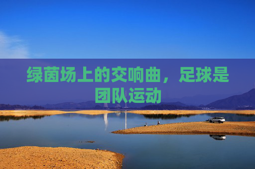 绿茵场上的交响曲,足球是团队运动