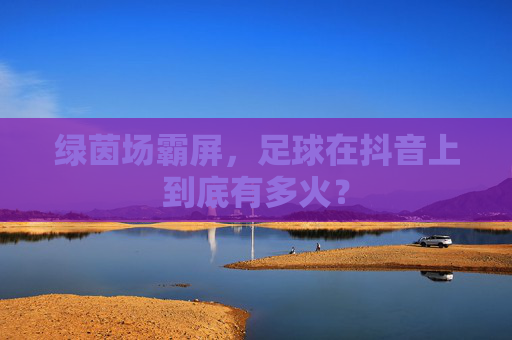 绿茵场霸屏,足球在抖音上到底有多火?