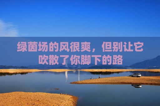 绿茵场的风很爽,但别让它吹散了你脚下的路