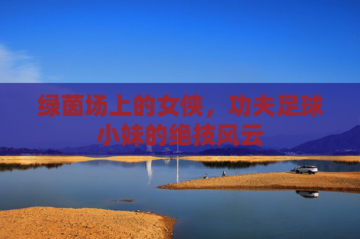 绿茵场上的女侠,功夫足球小妹的绝技风云