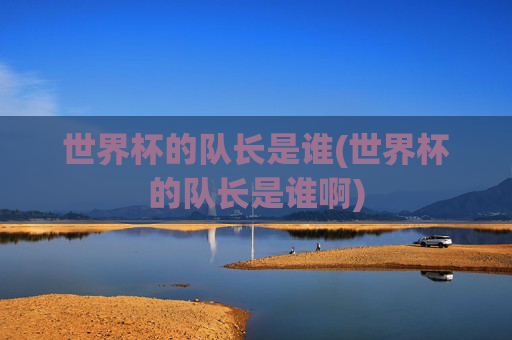 世界杯的队长是谁(世界杯的队长是谁啊)