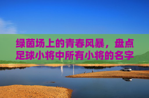绿茵场上的青春风暴,盘点足球小将中所有小将的名字与传奇