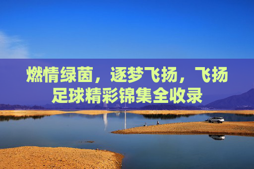 燃情绿茵,逐梦飞扬,飞扬足球精彩锦集全收录