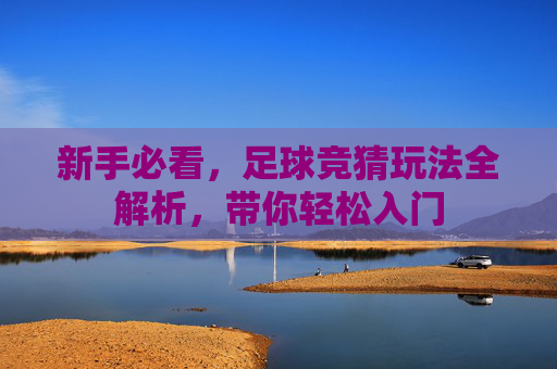 新手必看,足球竞猜玩法全解析,带你轻松入门