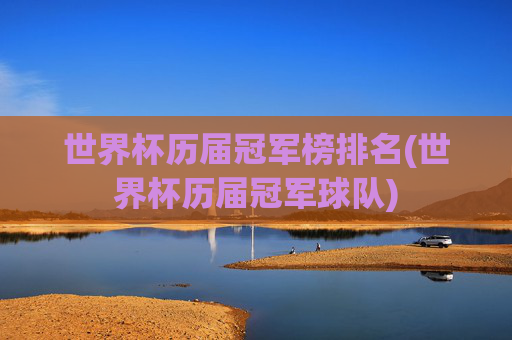 世界杯历届冠军榜排名(世界杯历届冠军球队)