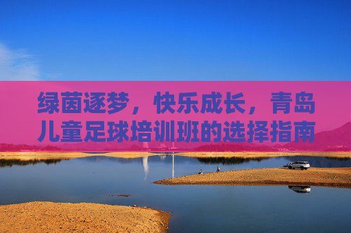 绿茵逐梦,快乐成长,青岛儿童足球培训班的选择指南与成长益处