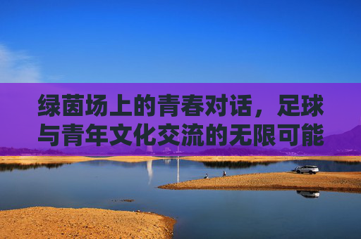 绿茵场上的青春对话,足球与青年文化交流的无限可能