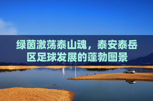 绿茵激荡泰山魂,泰安泰岳区足球发展的蓬勃图景
