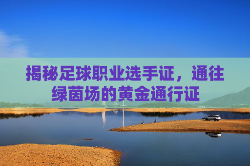 揭秘足球职业选手证,通往绿茵场的黄金通行证