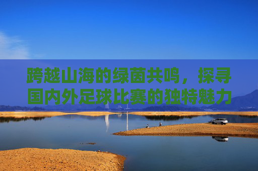 跨越山海的绿茵共鸣,探寻国内外足球比赛的独特魅力