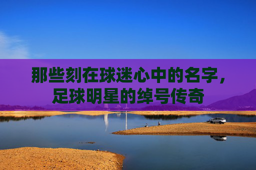 那些刻在球迷心中的名字,足球明星的绰号传奇