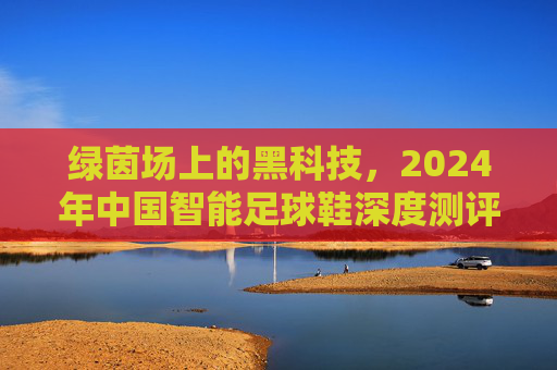绿茵场上的黑科技，2024年中国智能足球鞋深度测评与推荐