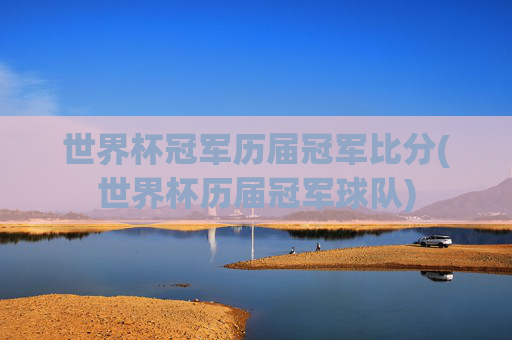 世界杯冠军历届冠军比分(世界杯历届冠军球队)