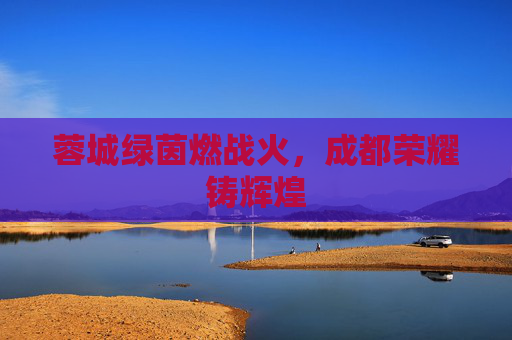 蓉城绿茵燃战火,成都荣耀铸辉煌