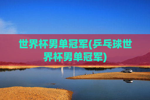 世界杯男单冠军(乒乓球世界杯男单冠军)