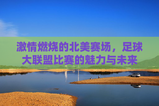 激情燃烧的北美赛场,足球大联盟比赛的魅力与未来