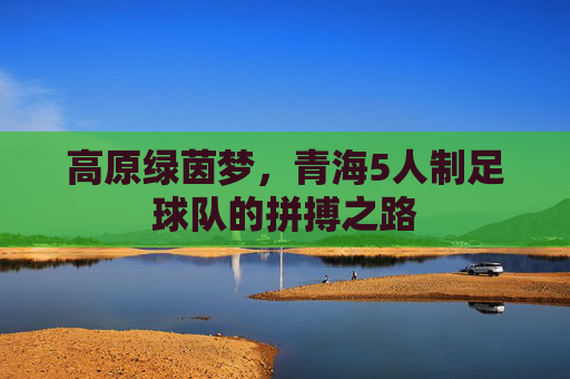 高原绿茵梦,青海5人制足球队的拼搏之路