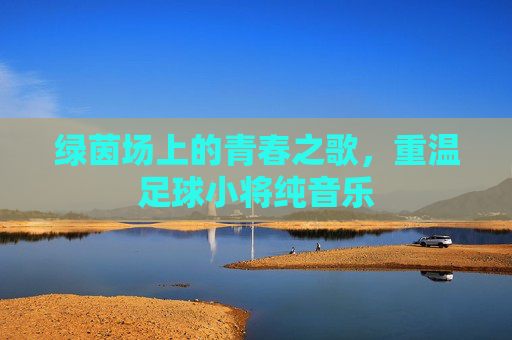 绿茵场上的青春之歌,重温足球小将纯音乐
