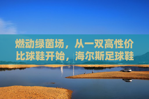 燃动绿茵场,从一双高性价比球鞋开始,海尔斯足球鞋京东选购指南