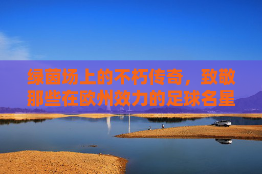 绿茵场上的不朽传奇,致敬那些在欧州效力的足球名星