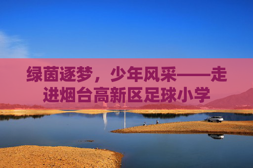 绿茵逐梦,少年风采——走进烟台高新区足球小学