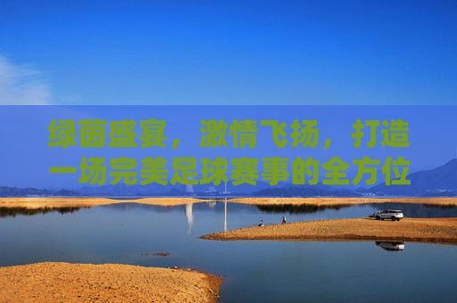 绿茵盛宴,激情飞扬,打造一场完美足球赛事的全方位策划指南