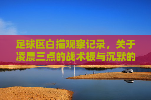 足球区白描观察记录,关于凌晨三点的战术板与沉默的信号灯