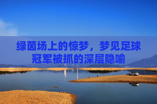 绿茵场上的惊梦,梦见足球冠军被抓的深层隐喻